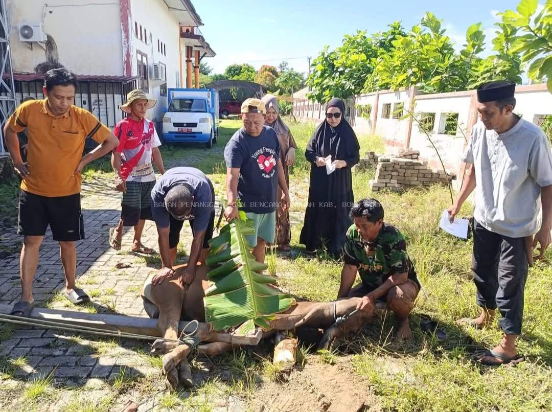 BPBD Bone Bolango Melaksanakan Qurban